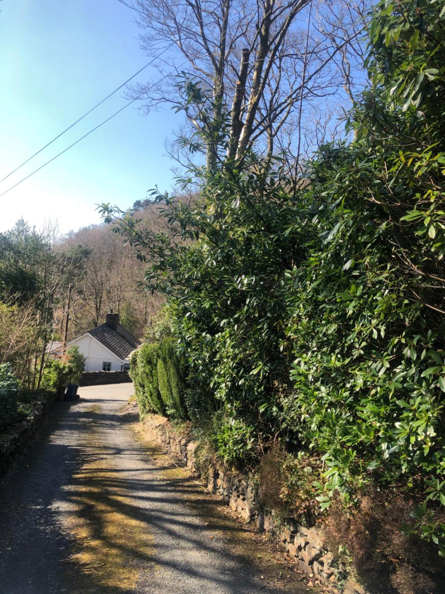 Snowdonia Mawddach Escape Vila Dolgellau Exterior foto